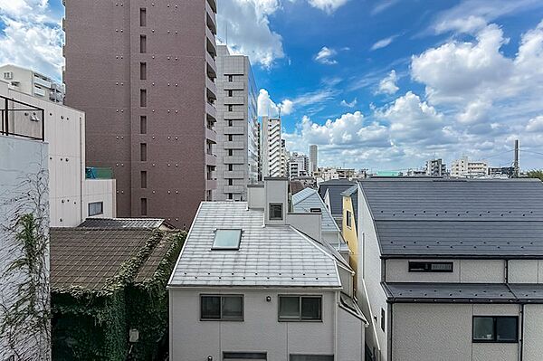 南西向きのバルコニー正面には戸建てがありますが、こちらの所在の方が高く、距離も取れているので、視線が気になることはなさそうです。