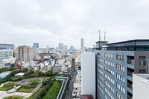 玄関側からLDKまで配された、ワイドスパンのルーフバルコニーからの眺望