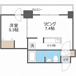 ビッグパレス南4条 10階