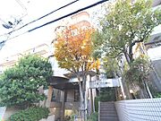 エルム御影 4階 築36年2ヶ月の賃貸物件