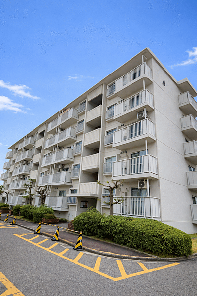 外観：327002194878