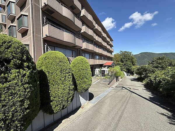 前面道路
