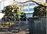 周辺：市川市立柏井小学校（1500m）