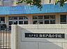 周辺：松戸市立新松戸南小学校（255m）
