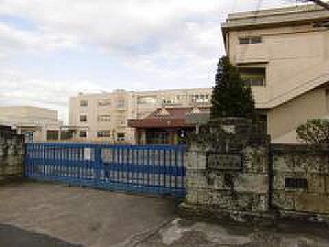 佐倉市立臼井小学校（550m）