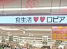 周辺：ロピア千城台店（1200m）