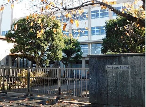 市川市立柏井小学校(1510m)