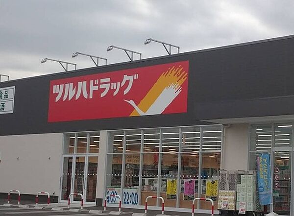 ツルハドラッグ木更津高柳店（267m）