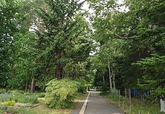 豊平公園　約４５０ｍ　徒歩約　６分