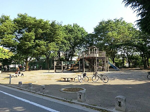 周辺を拡大表示