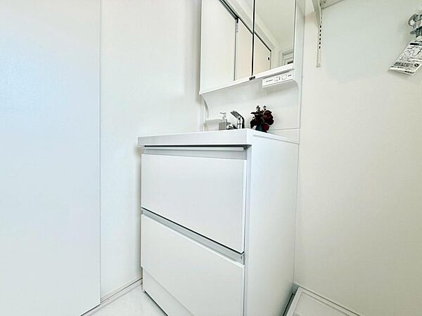 落ち着いた色合いで統一された室内はホテルライクな空間を創造しております。身だしなみのチェックがしやすい大きな鏡、下には収納がたっぷり。可動棚もあるのでスッキリとした空間をお作りいただけます。