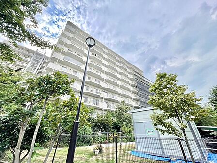 住空間を創造するかの様に荒々しくも繊細さを忘れない見事なコントラストが、住むほどに魅力の深みへと誰しもを誘います。「静」と「動」「暗」と「明」を見事に具現化した幻想的なマテリアルを是非ご堪能下さい。