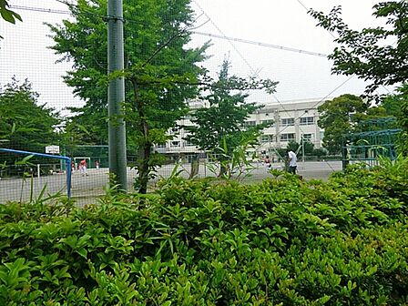 江戸川区立北小岩小学校まで約720m