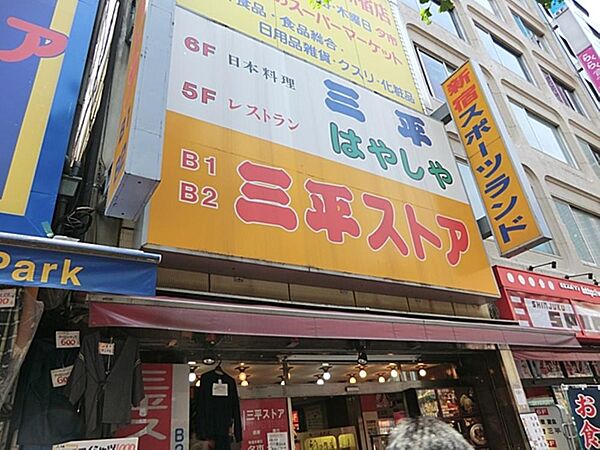三平ストア新宿店まで約1314m