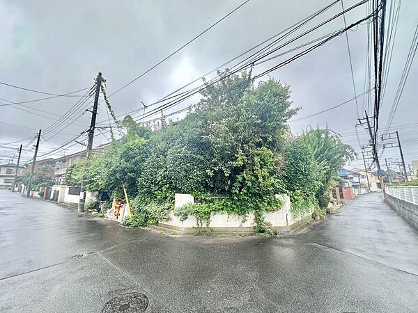 外観：313004865494
