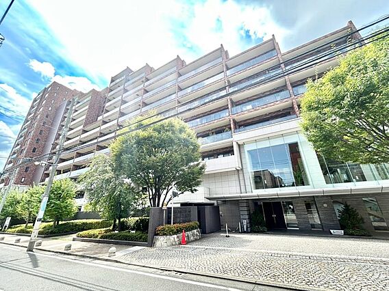 緑に彩られた街...