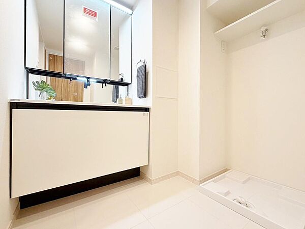 落ち着いた色合いで統一された室内はホテルライクな空間を創造しております。身だしなみのチェックがしやすい大きな鏡、下には収納がたっぷり。可動棚もあるのでスッキリとした空間をお作りいただけます。