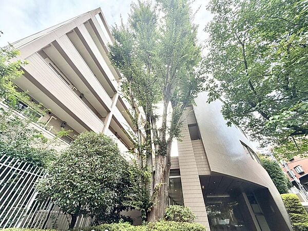 一つ屋根の下にそれぞれの暮らしがある。お部屋ぐらいは自分の価値観で自由にしたい。だからこそ、そのベースはシンプルであるべきだと思う。なぜなら、時の流れで人の好みは変わっていくものだから。