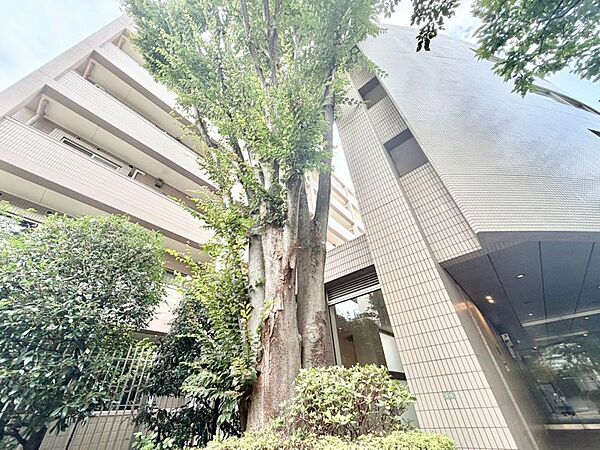 小学校入学前の子どもを持つ家庭の約6割が「家族や子どものため」に購入を希望。入学後の転校を避け、広い空間でのびのび育てたいなどの親心が、家探しのきっかけになっているようです。