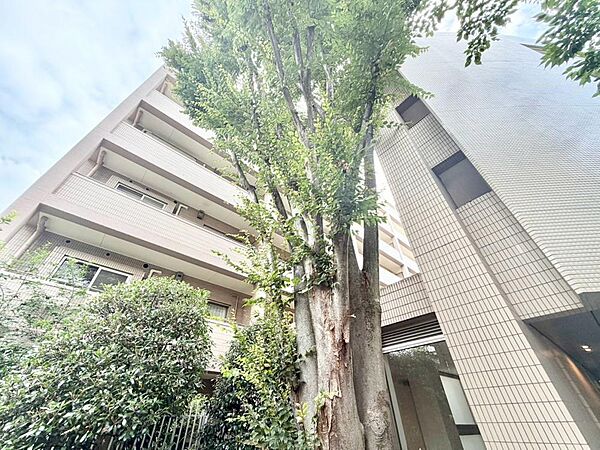 住む人を映し出す洗練された佇まいは、いつまでも輝き続けながらいつしか街の風景に溶け込んでいきます。