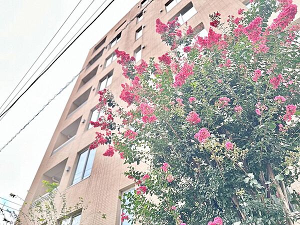 太陽に愛された邸は、陽当り・通風に優れた魅力的で快適さを追求した邸宅でした。ここに住むからこそ意味がある。そんな特別感に浸りながら、毎日を愉しんでいただきたいです。