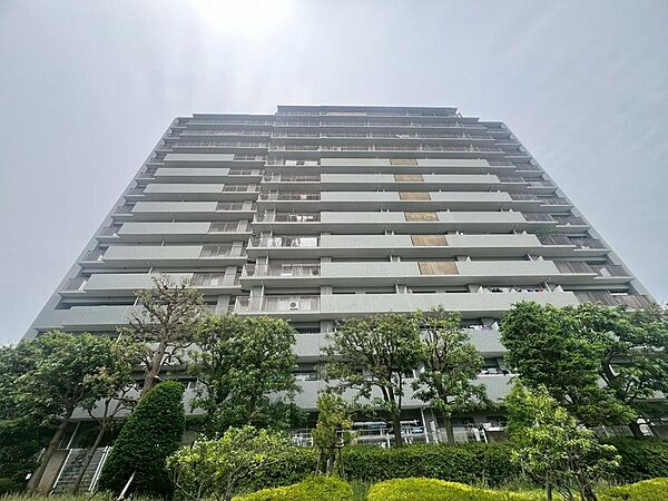 住空間を創造するかの様に荒々しくも繊細さを忘れない見事なコントラストが、住むほどに魅力の深みへと誰しもを誘います。「静」と「動」「暗」と「明」を見事に具現化した幻想的なマテリアルを是非ご堪能下さい。