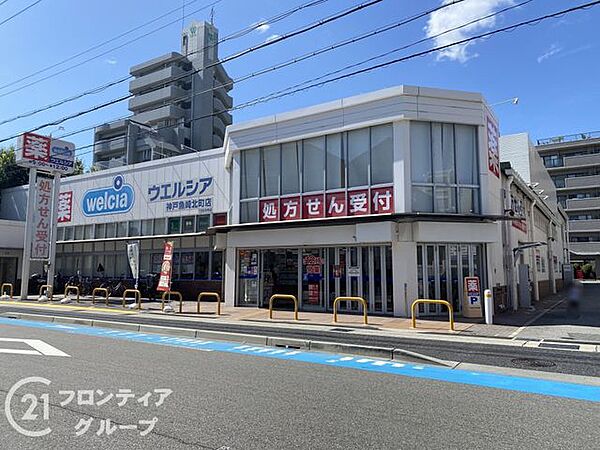 ウエルシア神戸魚崎北町店 徒歩11分。 870m