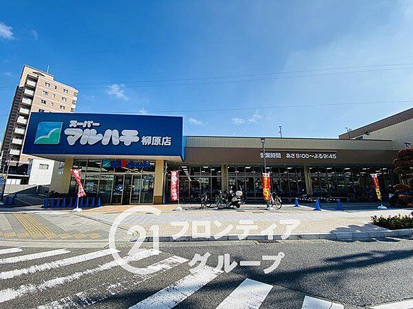 周辺を拡大表示