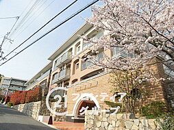 セレッソコート御影ヒルズ光陵館　中古マンション