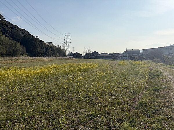 広々とした敷地は使い方自由自在