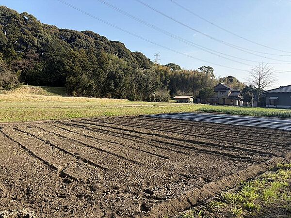 陽当たりの良い平坦地