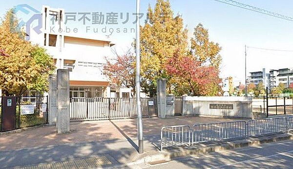 西宮市立甲子園浜小学校 徒歩7分。 520m