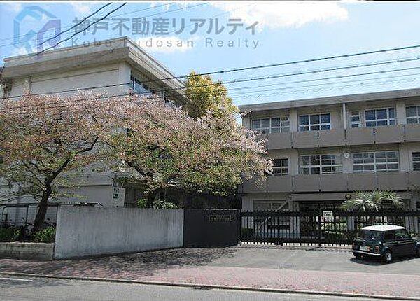 西宮市立浜甲子園中学校 徒歩13分。 990m
