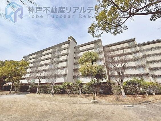 ◆2026年2...