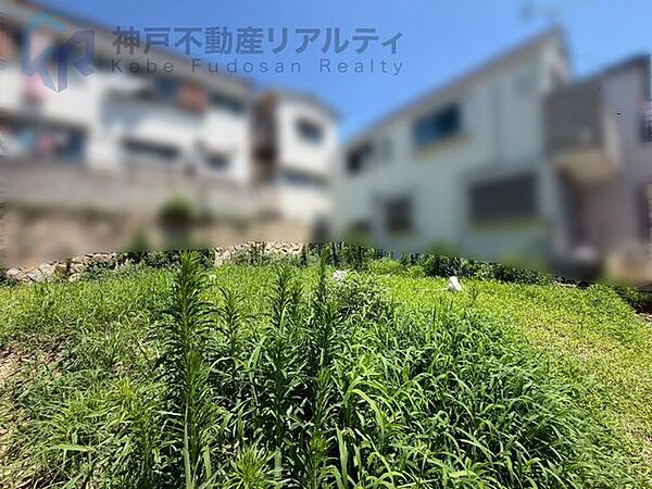 土地写真