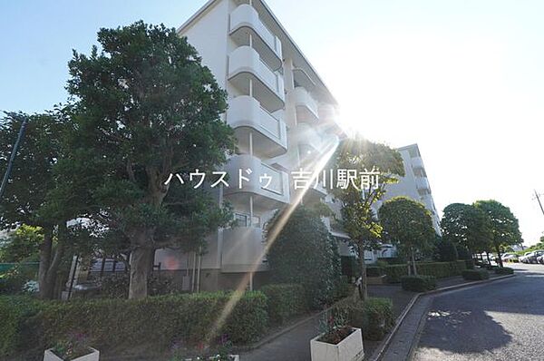 外観：311002435116