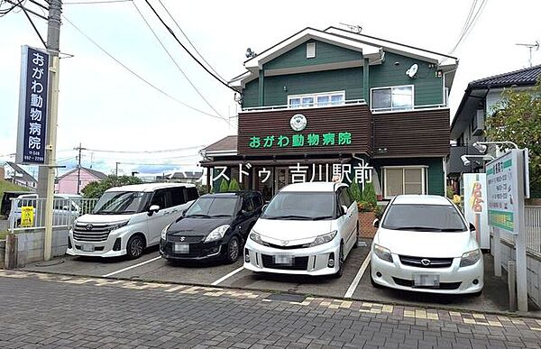 おがわ動物病院 570m