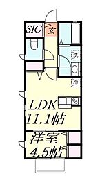 カーサラッフィナート6 1LDKの間取図画像