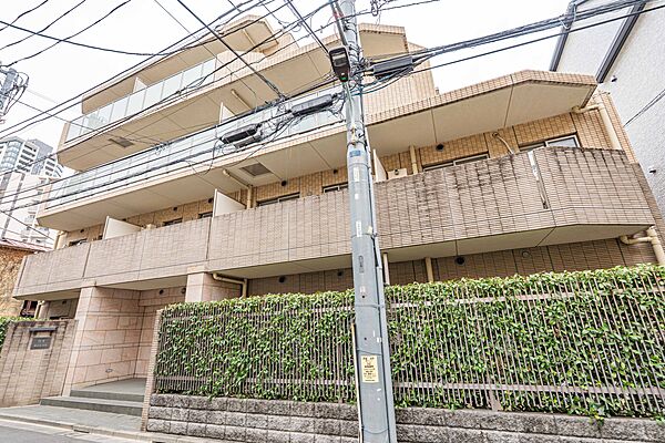 外観：313004622691