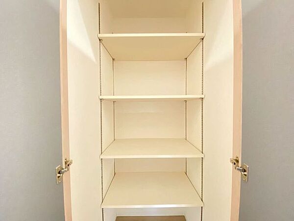 棚付き収納です。棚の位置を変えられる収納は意外と便利です。
