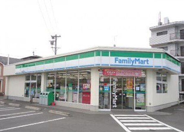ファミリーマート静岡竜南通り店 610m