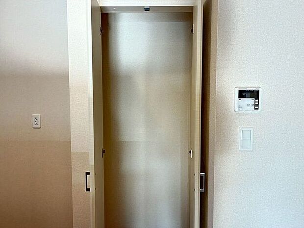 リビング横の収納掃除機等外に出しておきたくないものを置けます