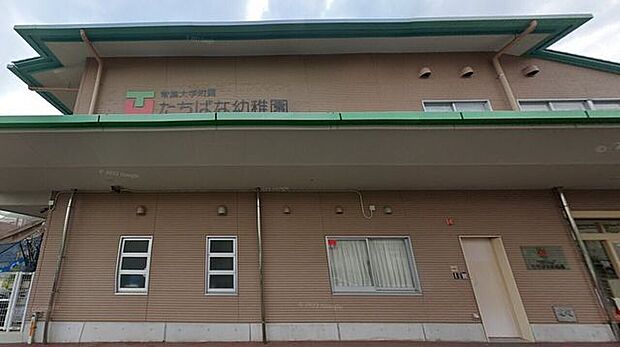 常葉大学附属たちばな幼稚園 590m