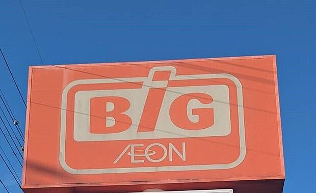 ザ・ビッグ静岡新川店 810m