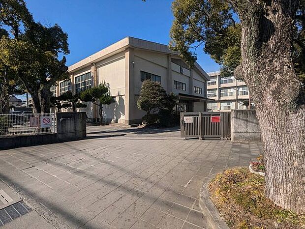 静岡市立千代田小学校 1230m