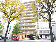 チサンマンション円山３ 8階 築41年の賃貸物件