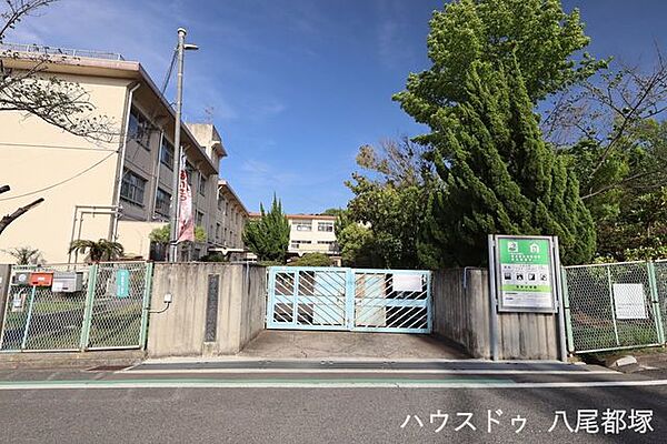柏原市立玉手小学校 980m