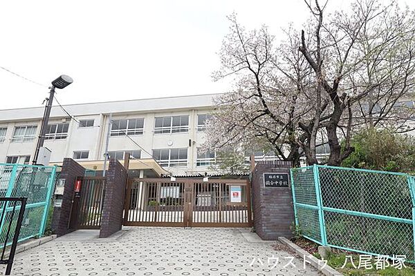 柏原市立国分中学校 460m