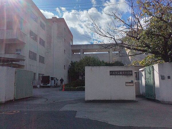 八尾市立龍華小学校 780m