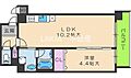 ケイグレース7階8.8万円